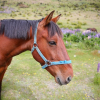 Thumbnail of related posts 148