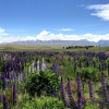 Thumbnail of related posts 058