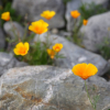 Thumbnail of related posts 035