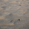 Thumbnail of related posts 157