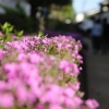 Thumbnail of related posts 139