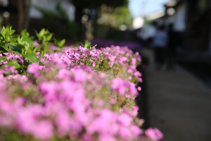 Thumbnail of post image 169